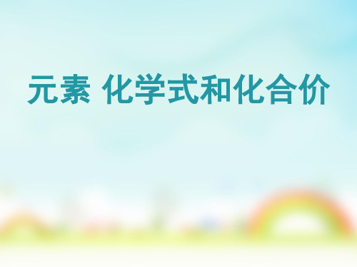 人教版九年级一轮复习：元素和化学式、化合价  17张PPT