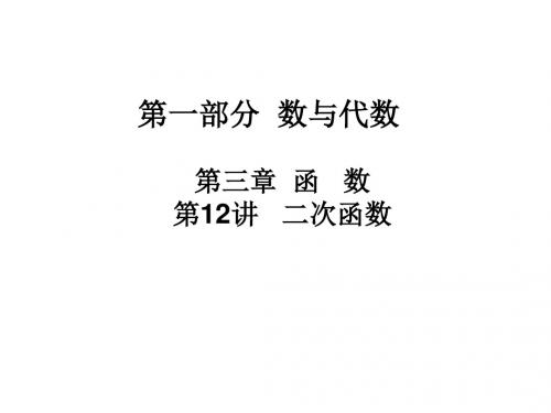 广东省河源市中英文实验学校中考数学 第十二讲 二次函