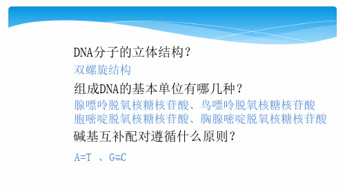 人教版高中生物必修二第三章第3节DNA分子的复制优秀课件共25张
