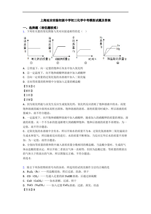 上海延安实验初级中学初三化学中考模拟试题及答案