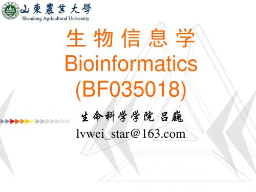 生物信息学概论