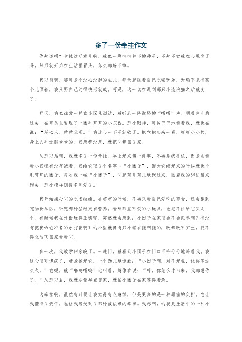 多了一份牵挂作文