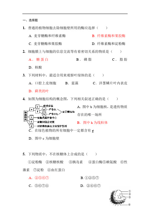 福建省南安市2018-2019学年高一生物上册周练试题9