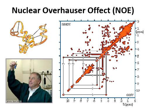 南开大学实用核磁技术-lecture-7---NOESY