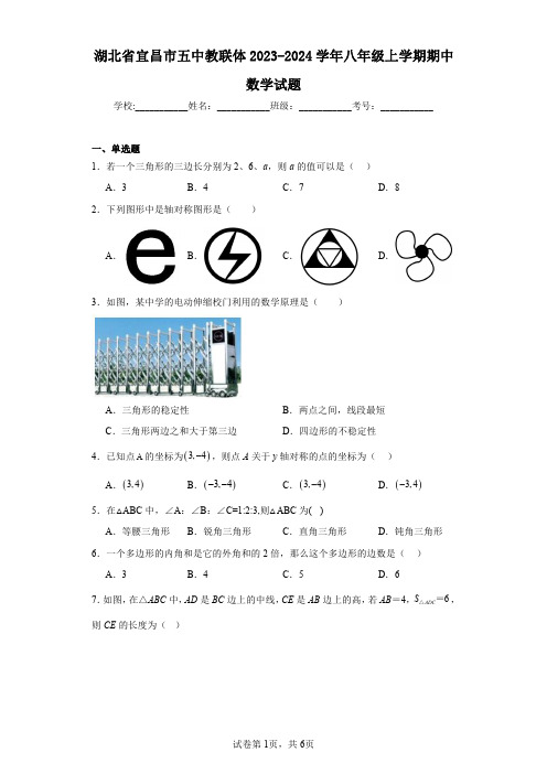 湖北省宜昌市五中教联体2023-2024学年八年级上学期期中数学试题