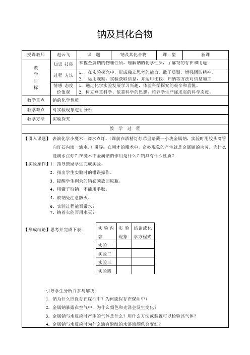 钠及其化合物--教案1