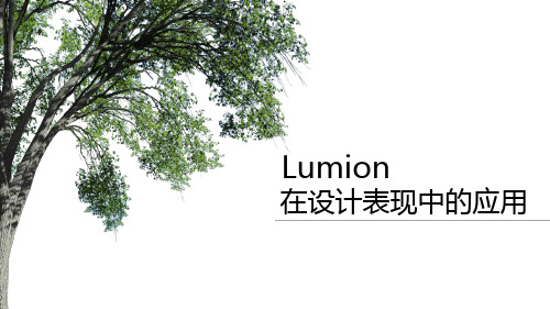 Lumion在设计表现重点应用