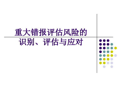 重大错报风险的识别评估与应对课件