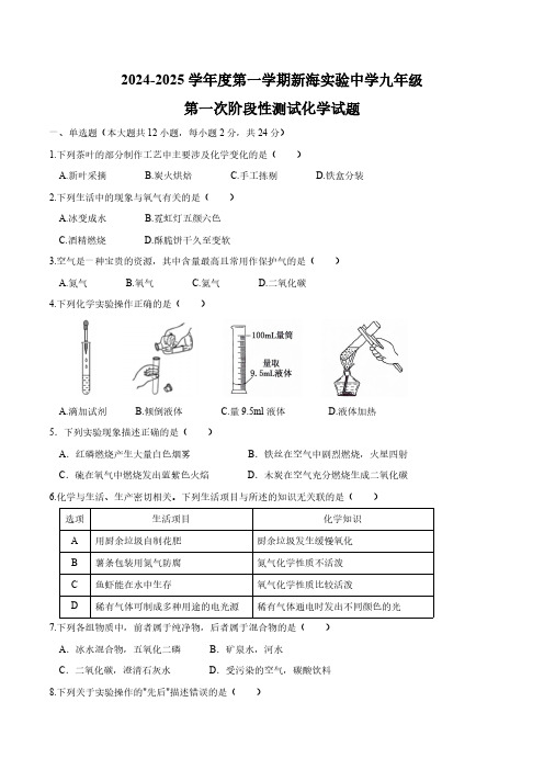 江苏省连云港市新海实验中学2024-2025学年九年级上学期第一次月考化学试题(无答案)