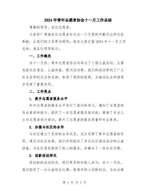 2024年青年志愿者协会十一月工作总结