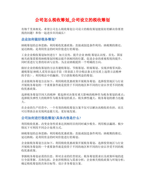 公司怎么税收筹划_公司设立的税收筹划