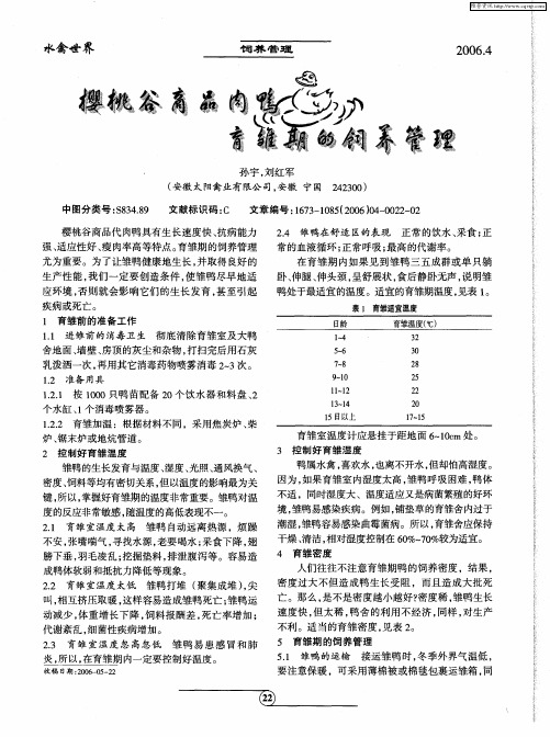 樱桃谷商品肉鸭育雏期的饲养管理