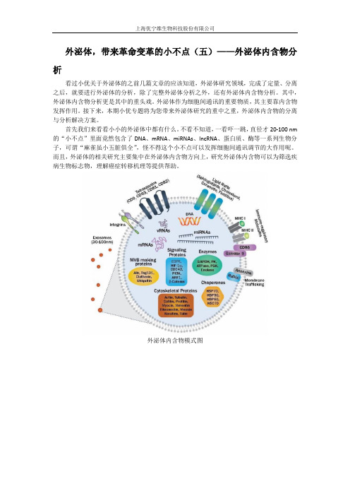 外泌体内含物分析