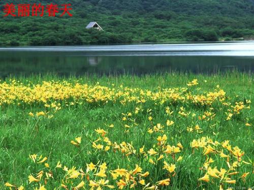 《我们的眼睛亮晶晶》