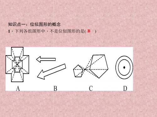 九年级数学上册23.5位似图形习题课件新版华东师大版
