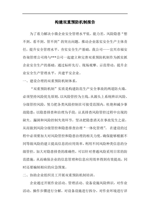 双重预防机制构建报告