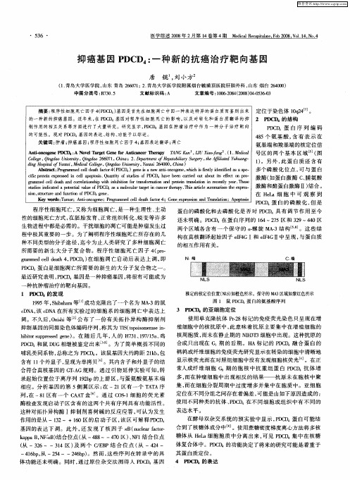 抑癌基因PDCD4：一种新的抗癌治疗靶向基因