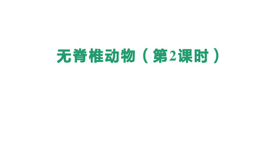 2.2.1++无脊椎动物(第2课时)课件-2024-2025学年人教版生物七年级上册