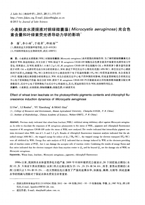 小麦麸皮水浸提液对铜绿微囊藻(Microcystis aeruginosa)光合色素含量和叶绿素荧光诱导动力学的影响