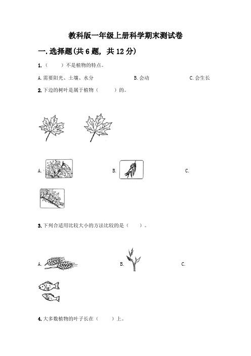 教科版一年级上册科学期末测试卷含答案(完整版)