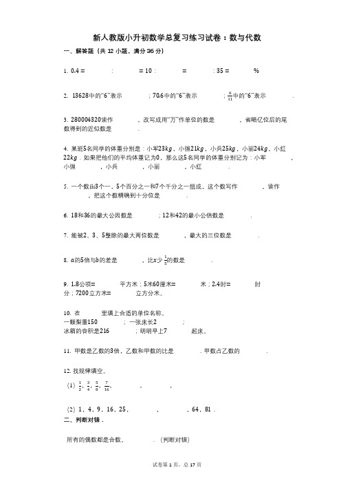 小学数学-有答案-新人教版小升初数学总复习练习试卷：数与代数