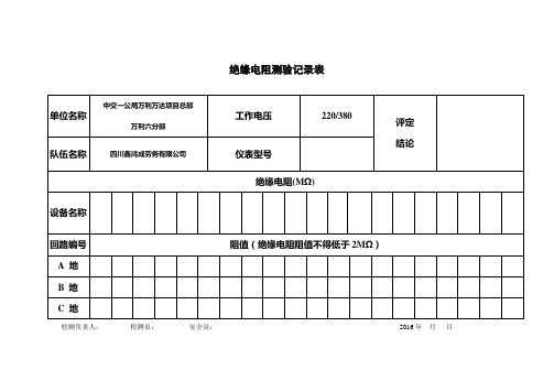 绝缘电阻测验记录表