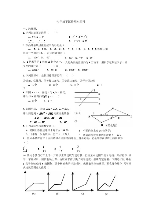 七年级下数学期末复习题与答案.doc