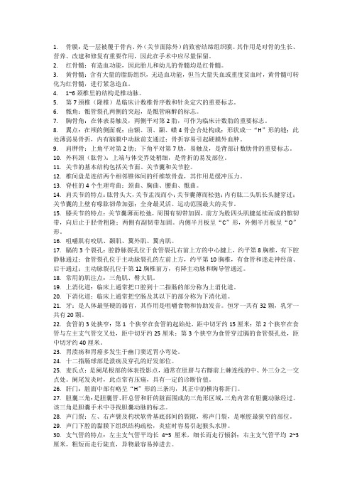 人体解剖学复习重点知识