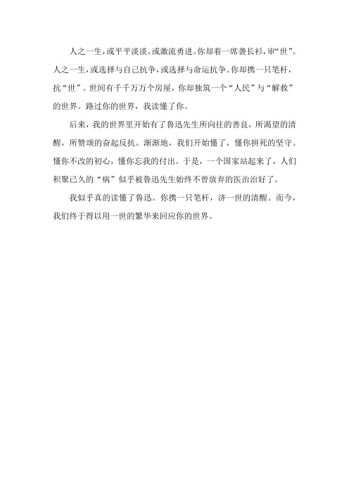 鲁迅我终于读懂了你作文200字