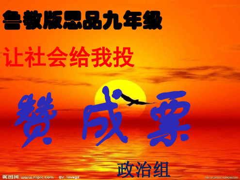 鲁教版思品九年级让社会给我投赞成票