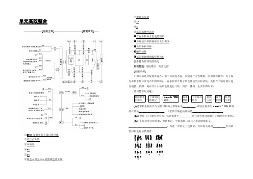 2022届高三生物(人教版)一轮复习练习：必修1 第4单元 单元高效整合 Word版含答案