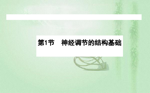 高中生物新人教版选择必修121神经调节的结构基础课件(58张)