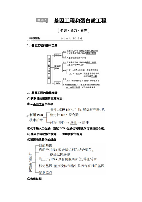 19-20 第1部分 专题12 考点1 基因工程和蛋白质工程