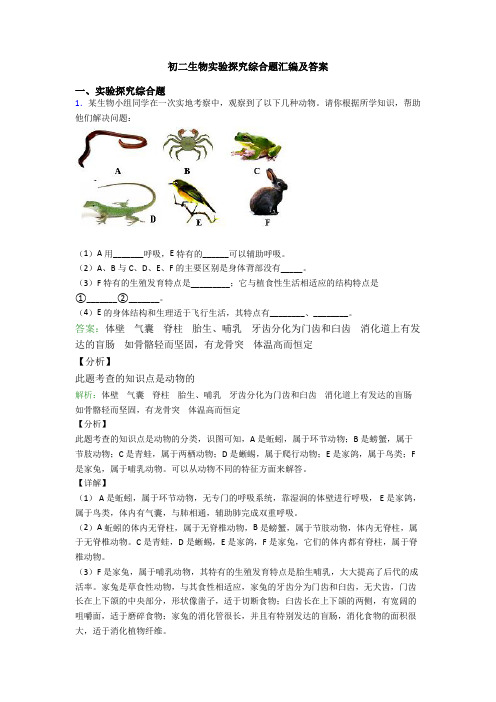 初二生物实验探究综合题汇编及答案