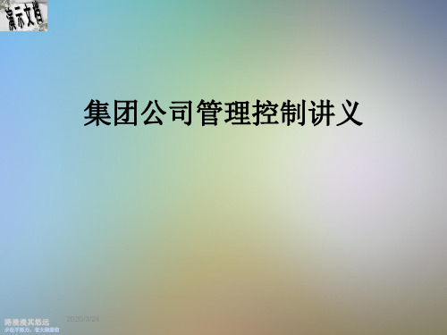 集团公司管理控制讲义