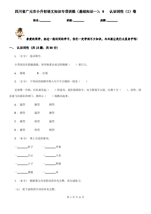 四川省广元市小升初语文知识专项训练(基础知识一)：9   认识词性(I)卷