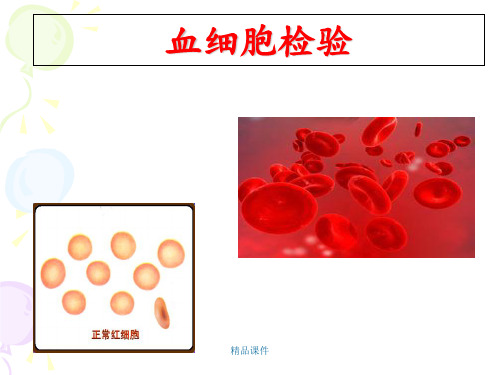 红细胞检验