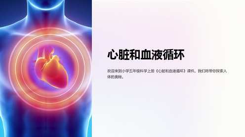 小学五年级科学上册《心脏和血液循环》课件课件