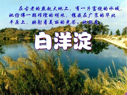 广东省佛山市中山大学附属中学三水实验学校八年级语文上册 芦花荡课件 新人教版