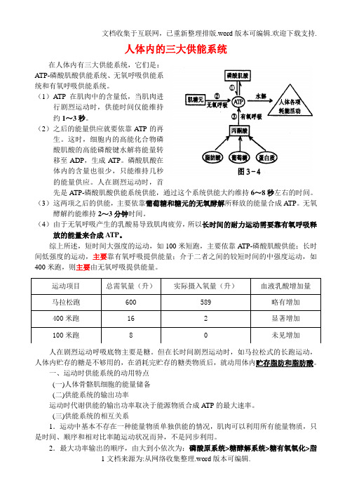 人体内的三大供能系统