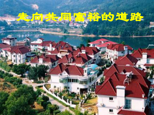 走向共同富裕的道路(2)PPT课件