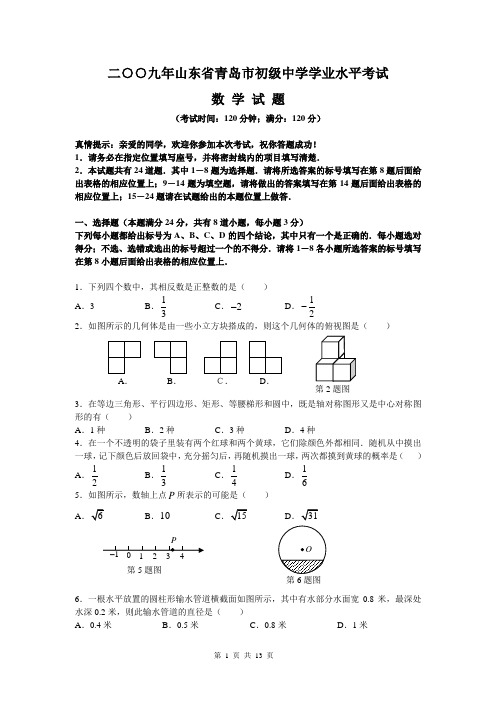 2009山东省青岛市中考数学试题