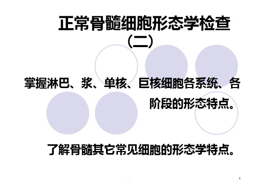 正常骨髓细胞形态学检查ppt课件