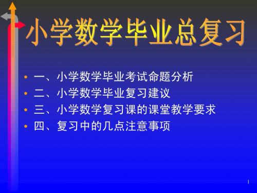 小学数学六年级复习课件