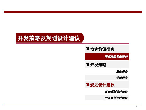 辽宁省沈阳市浑南华发新城项目前策报告(58页