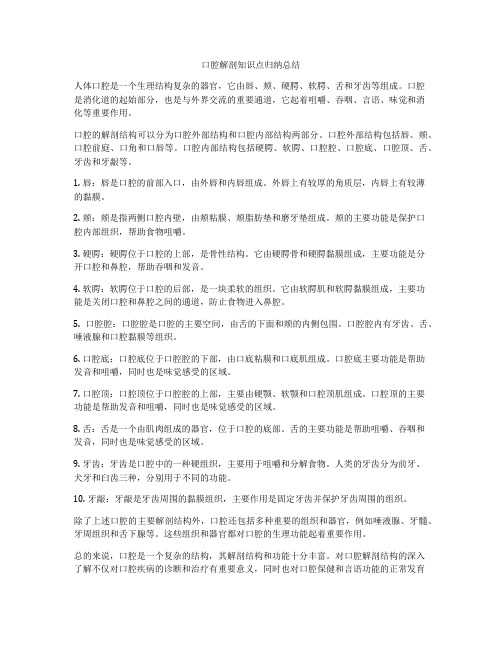 口腔解剖知识点归纳总结