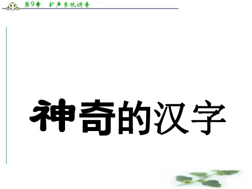 人教语文选修《语言文字应用》课件：第三课 神奇的汉字(共32张PPT)