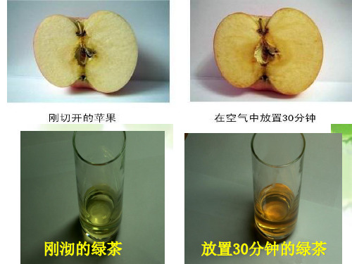 沪科版化学高一上册-2.3.2 氧化剂和还原剂 课件  ppt