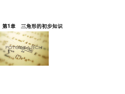 2019秋浙教版八年级数学上册习题课件：周滚动综合练习题(一) 1.1-1.3(共22张PPT)