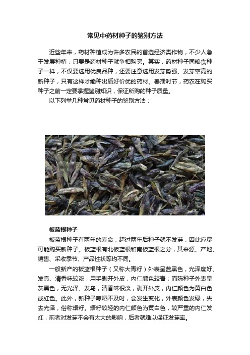 常见中药材种子的鉴别方法